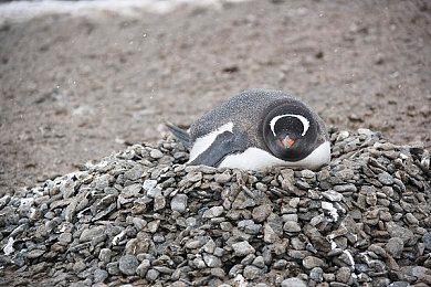 PS发布会：PSVR2版《节奏光剑》&皇后乐队音乐包现已推出